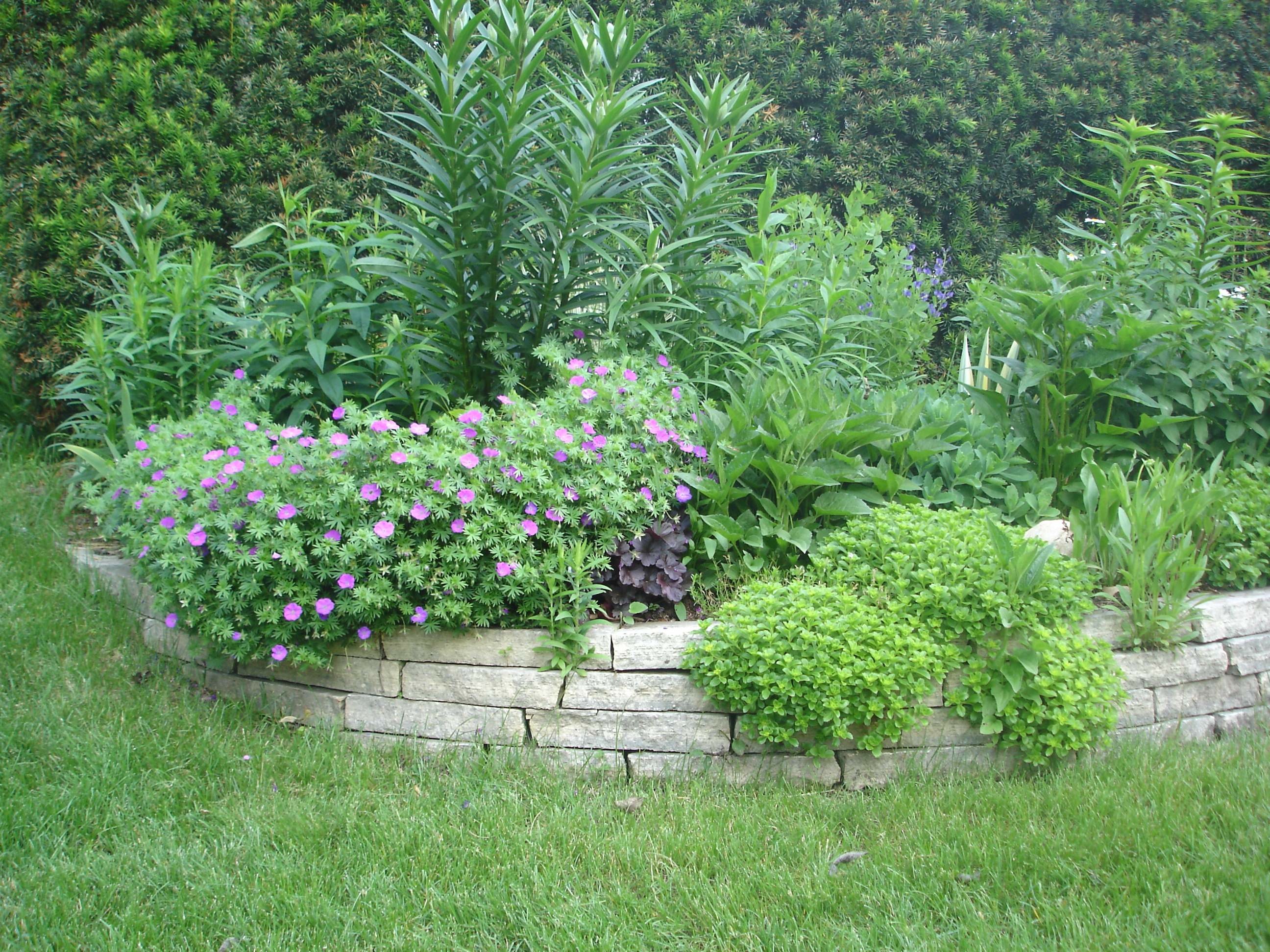 Raised Garden Beds - The Iowa Gardener