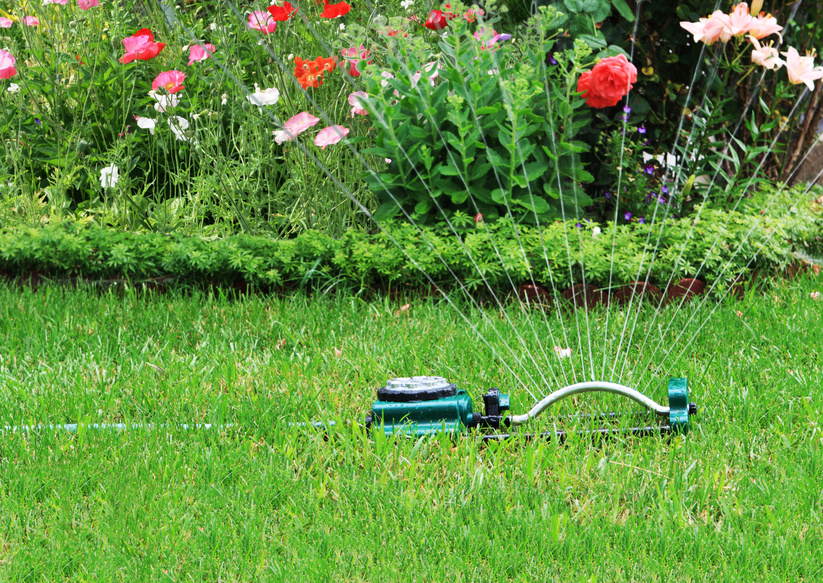 Watering Basics