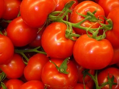 Five Must-Have Tomatoes