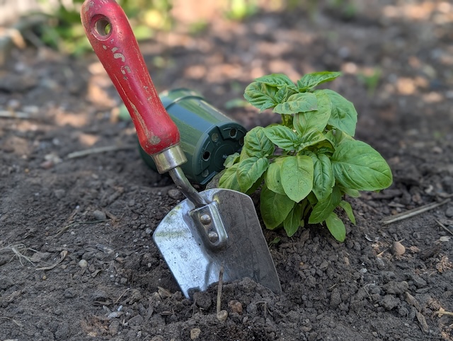 Planting Calendar for Iowa 